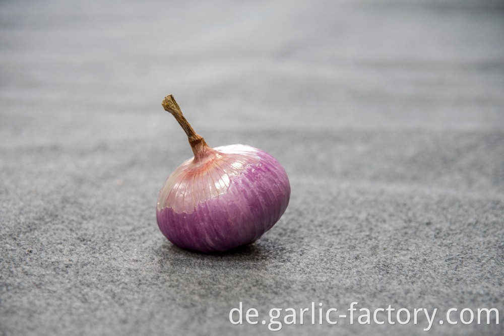 Fresh market prices red onion for importers